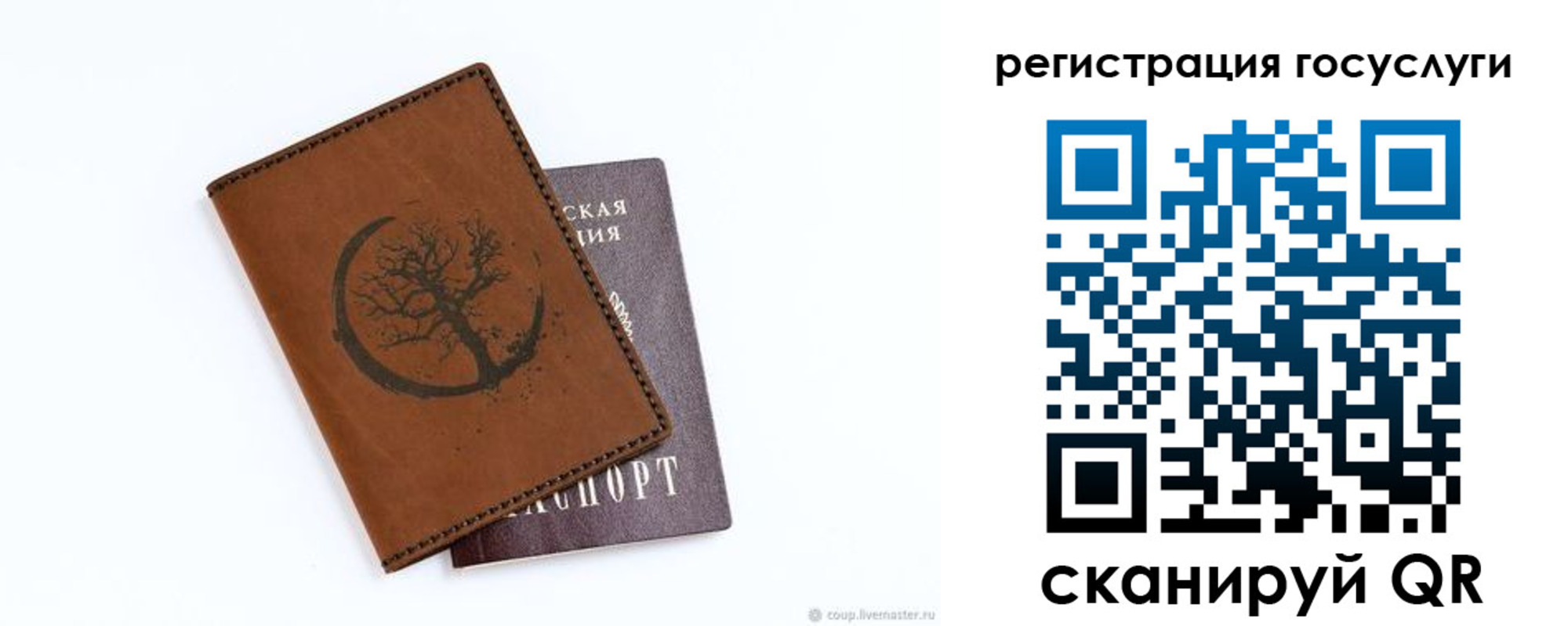 прописка для школы в Светлограде